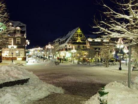 Stadtwohnung Schneeflocke Winterberg Dış mekan fotoğraf